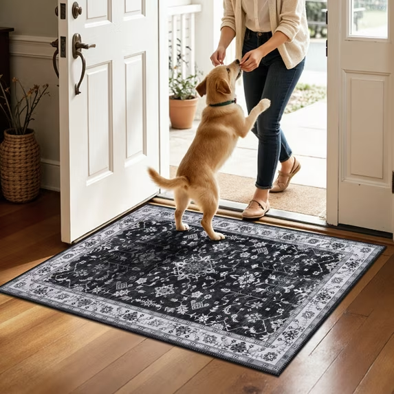 MeyJey 2'x3' Area Rug for Living Room, Non-Slip Washable Vintage Floor Carpet for Door Entryway Kitchen Hallway