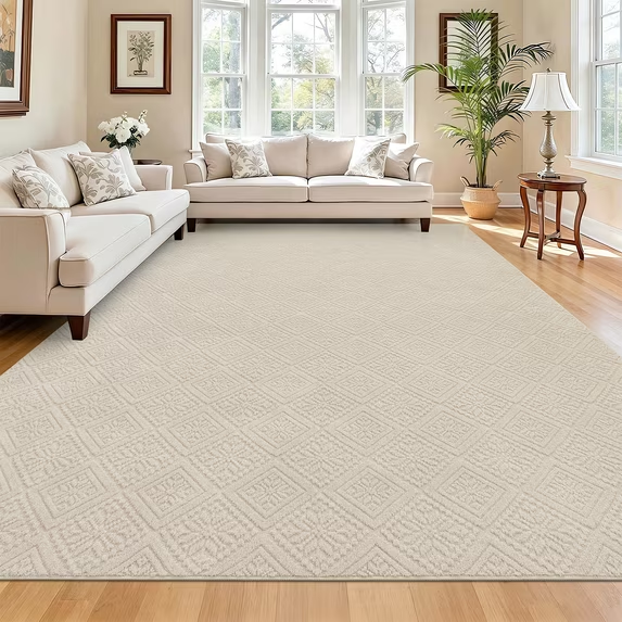 MeyJey Area Rugs for Living Room, Non Slip Washable Modern Beige Solid Color Rugs for Bedroom, Soft Fluffy Carpet for Dining Room Office, Beige