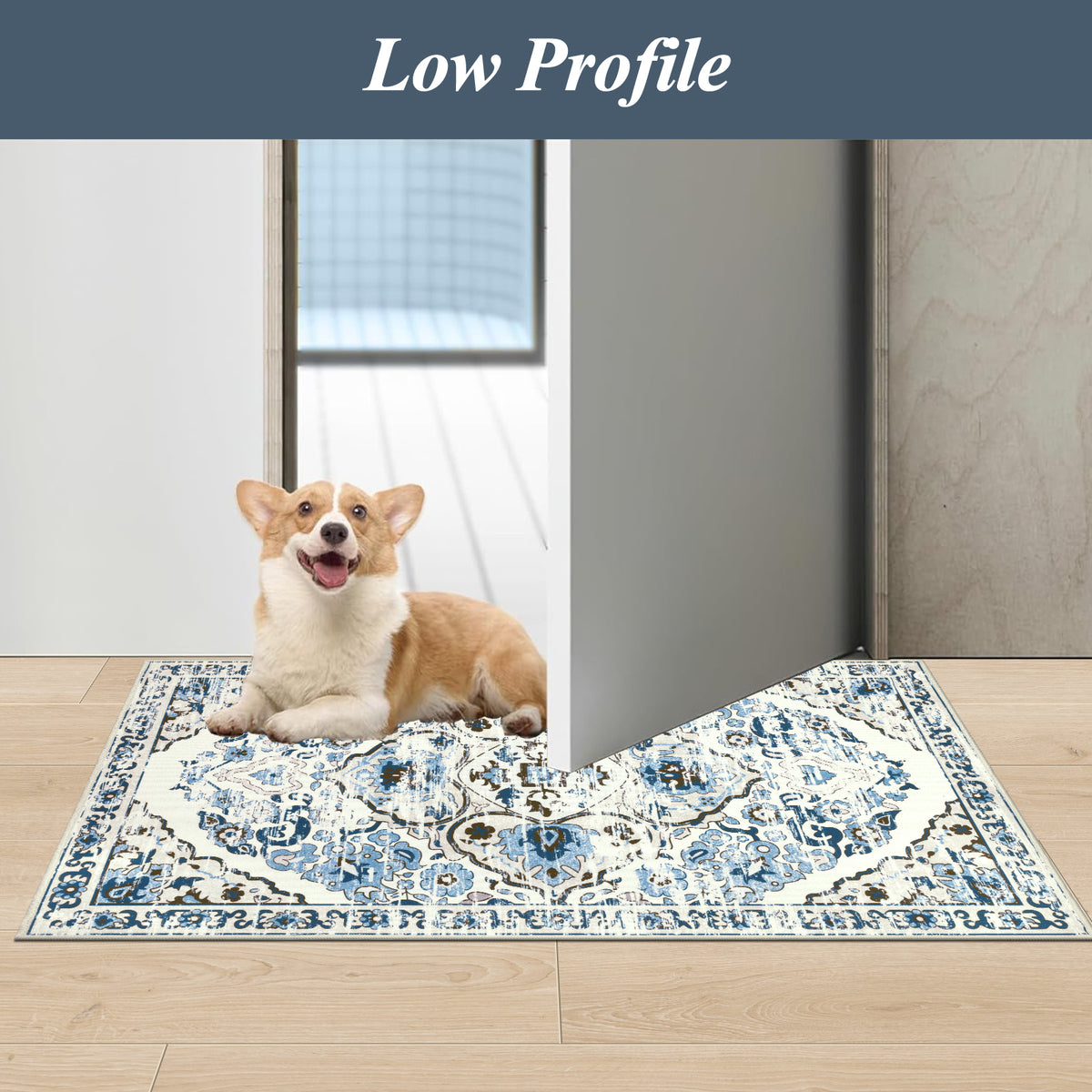 MeyJey Boho Indoor Living Room Area Rug Non-Slip Machine Washable Vintage Oriental Distressed Floor Carpet for Bedroom Dining Kitchen Hallway Nursery